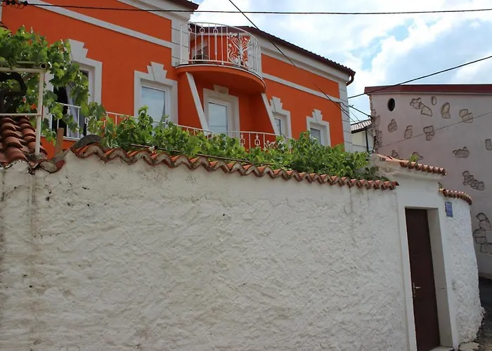 Ursula * 诺维·维诺多尔斯基